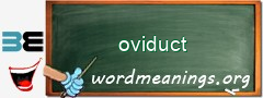 WordMeaning blackboard for oviduct